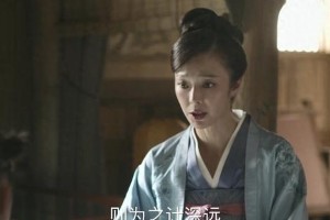 盛家宅斗：卫小娘隐忍至死，明兰命运转折
