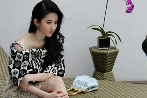精美图片展示集