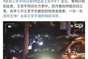 金晨王安宇深夜同回家中，疑似恋情曝光