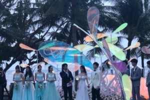 付辛博颖儿巴厘岛浪漫婚礼，深情告白感动全场