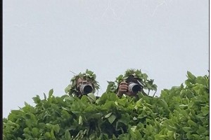 于正新剧《玉茗茶骨》路透：古力娜扎领衔七男后宫团