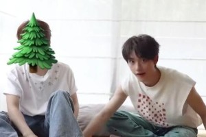 丁程鑫张真源互动争议：娱乐圈友谊与公众人物责任