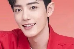 精选图片集锦：视觉盛宴一览