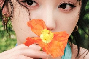 精选图片集：视觉盛宴一览
