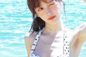 精选图片集锦：视觉盛宴一览