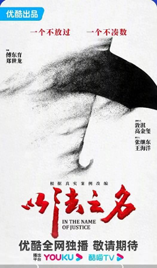 《以法之名》主演阵容